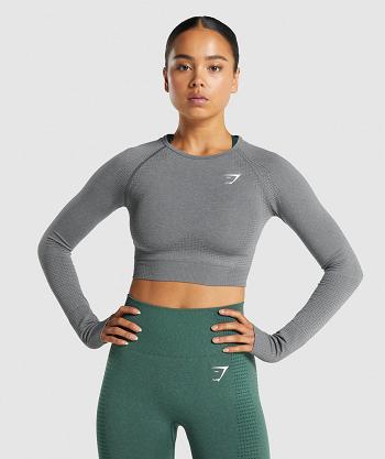 Gymshark Vital Seamless 2.0 Long Sleeve Ženske Ošišane Majice Sive | HR 3631SGL